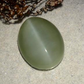 Натуральный зелёный actinolite cat's eye 8,86 карата огранка овал, полупрозрачный