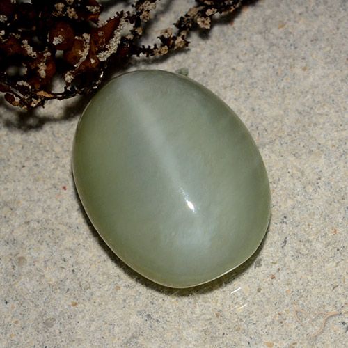 5.43ct Натуральный Коричневато-зеленый Актинолит Кошачий Глаз, Овал, Полупрозрачный