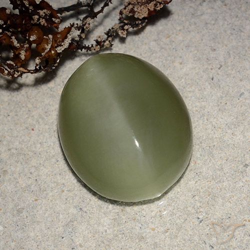 8.10ct Натуральный Коричневато-зеленый Актинолит Кошачий Глаз, Овал, Полупрозрачный
