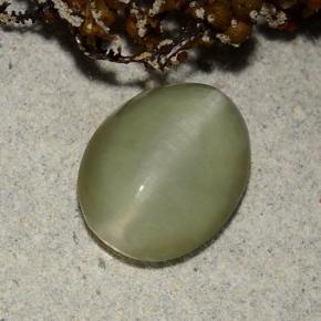 Натуральный зелёный actinolite cat's eye 2,40 карата огранка овал, полупрозрачный