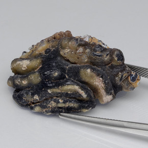 61.00 карата, натуральный Многоцветный Агатовая жеода, Необычная форма, Непрозрачный