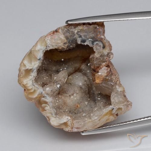 40.83ct Натуральный Многоцветный Агатовая жеода, причудливая, Непрозрачный