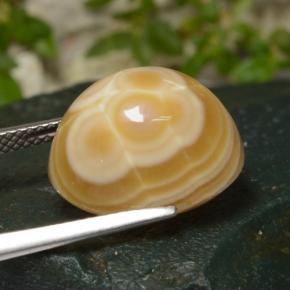 14.86 карата, натуральный Многоцветный Агат, Огранка Овал, Непрозрачный