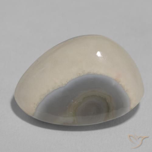 11.22ct Натуральный White Cream Агат, причудливая, Непрозрачный