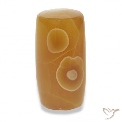 13.53ct Многоцветный Агат, причудливая, Полупрозрачный