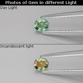 0.25 карата, натуральный Зеленый/Красный Александрит, Огранка Овал, VVS-VS