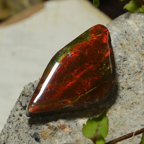 17.03ct Натуральный Многоцветный Аммолит, причудливая, Непрозрачный
