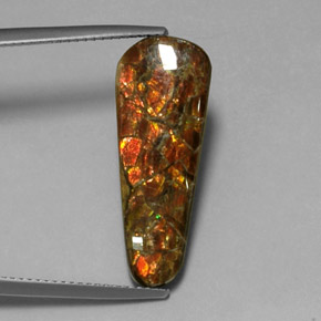 7.59 карата, натуральный Многоцветный Аммолит, Необычная форма, Непрозрачный