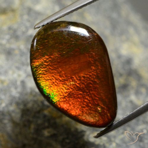 10.57ct Натуральный Многоцветный Аммолит, причудливая, Непрозрачный