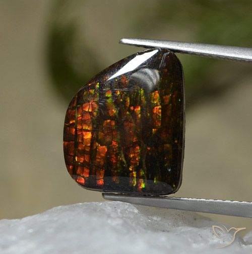 7.67ct Натуральный Многоцветный Аммолит, причудливая, Непрозрачный