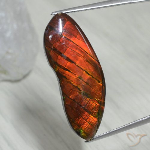 15.54ct Натуральный Многоцветный Аммолит, причудливая, Непрозрачный
