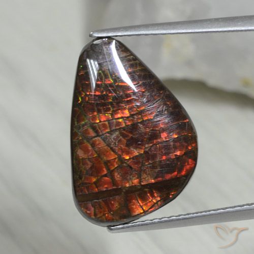 8.09ct Натуральный Многоцветный Аммолит, причудливая, Непрозрачный