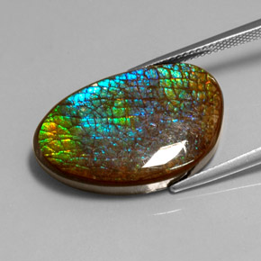 16.45 карата, натуральный Многоцветный Аммолит, Необычная форма, Непрозрачный