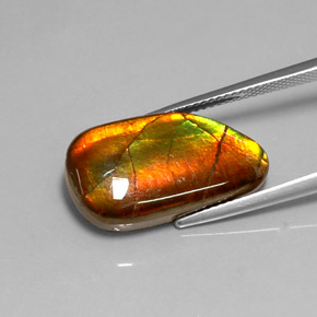 10.78 карата, натуральный Многоцветный Аммолит, Необычная форма, Непрозрачный