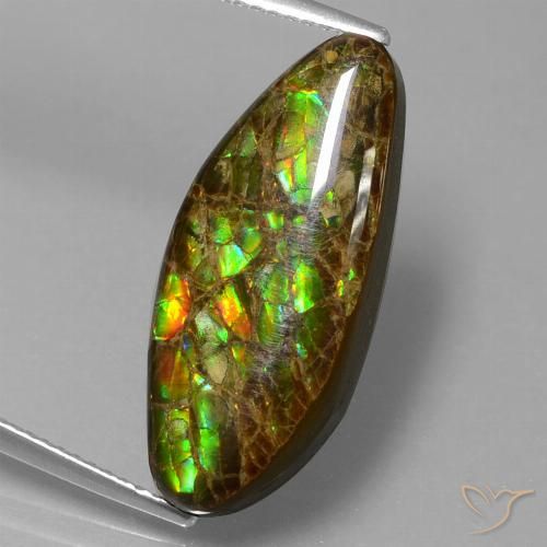 9.86ct Натуральный Многоцветный Аммолит, причудливая, Непрозрачный