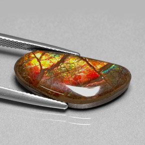 9.95 карата, натуральный Многоцветный Аммолит, Необычная форма, Непрозрачный