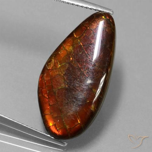 9.99ct Натуральный Многоцветный Аммолит, причудливая, Непрозрачный