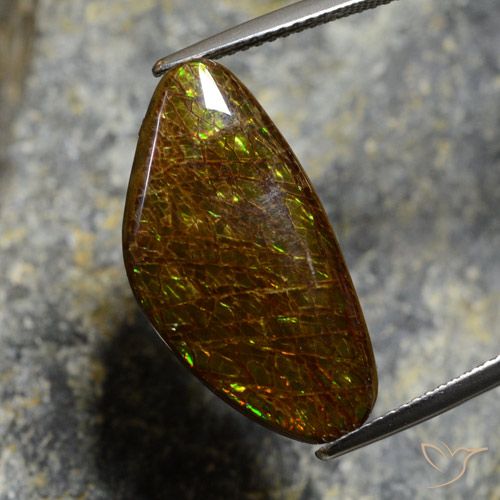 11.88ct Натуральный Многоцветный Аммолит, причудливая, Непрозрачный
