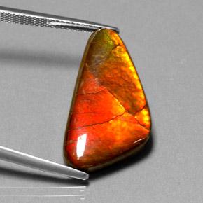 12.20 карата, натуральный Многоцветный Аммолит, Необычная форма, Непрозрачный