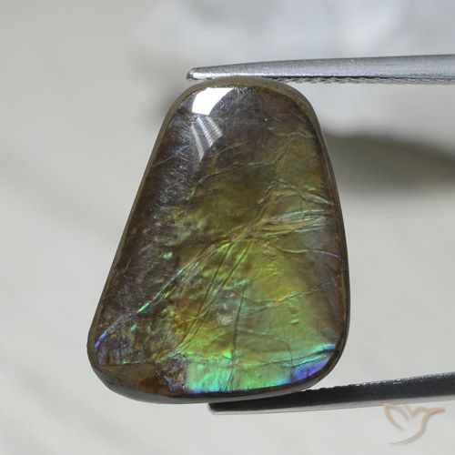 12.08ct Натуральный Многоцветный Аммолит, причудливая, Непрозрачный