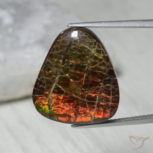 13.62ct Натуральный Многоцветный Аммолит, причудливая, Непрозрачный