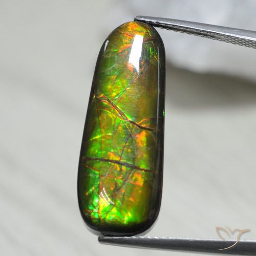 13.66ct Натуральный Многоцветный Аммолит, причудливая, Непрозрачный