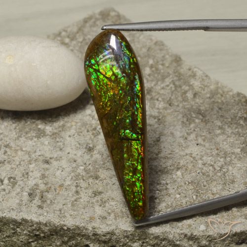 14.49ct Натуральный Многоцветный Аммолит, причудливая, Непрозрачный