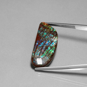 Натуральный Многоцветный Аммолит 16,86 карата Необычная форма, Непрозрачный