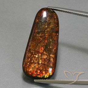 21.40ct Натуральный Многоцветный Аммолит, причудливая, Непрозрачный