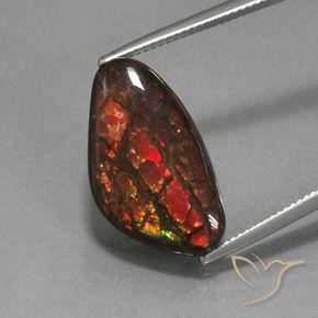 12.58ct Натуральный Многоцветный Аммолит, причудливая, Непрозрачный