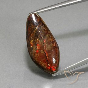 11.37ct Натуральный Многоцветный Аммолит, причудливая, Непрозрачный
