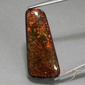 18.38ct Натуральный Многоцветный Аммолит, причудливая, Непрозрачный