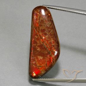 17.60ct Натуральный Многоцветный Аммолит, причудливая, Непрозрачный