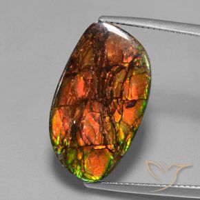 13.27ct Натуральный Многоцветный Аммолит, причудливая, Непрозрачный