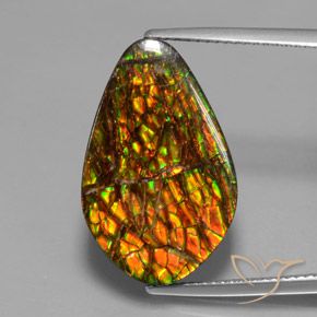 14.79ct Натуральный Многоцветный Аммолит, причудливая, Непрозрачный