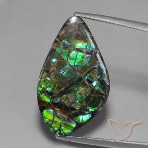 15.28ct Натуральный Многоцветный Аммолит, причудливая, Непрозрачный