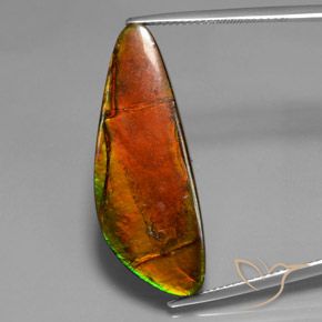 18.60ct Натуральный Многоцветный Аммолит, причудливая, Непрозрачный