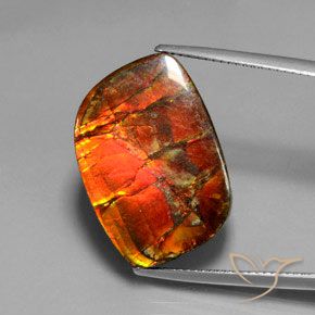 17.18ct Натуральный Многоцветный Аммолит, причудливая, Непрозрачный