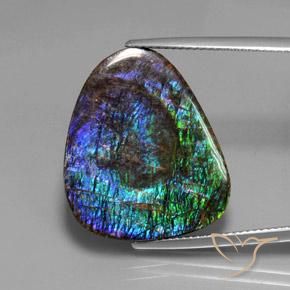 18.37ct Натуральный Многоцветный Аммолит, причудливая, Непрозрачный