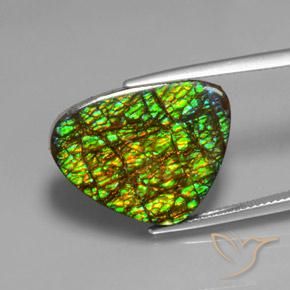 19.08ct Натуральный Многоцветный Аммолит, Триллион, Непрозрачный