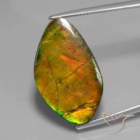 15.41ct Натуральный Многоцветный Аммолит, причудливая, Непрозрачный