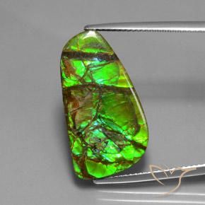 12.43ct Натуральный Многоцветный Аммолит, причудливая, Непрозрачный