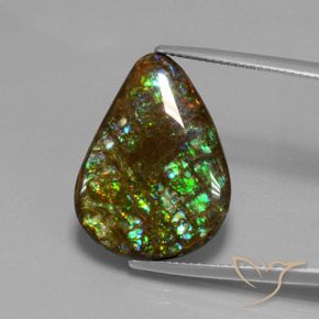 14.33ct Натуральный Многоцветный Аммолит, Форма груши, Непрозрачный