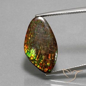 10.29ct Натуральный Многоцветный Аммолит, причудливая, Непрозрачный