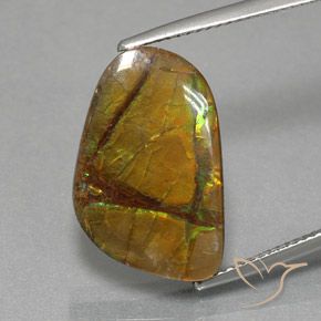 8.36ct Натуральный Многоцветный Аммолит, причудливая, Непрозрачный