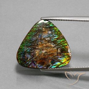 12.33ct Натуральный Многоцветный Аммолит, Триллион, Непрозрачный