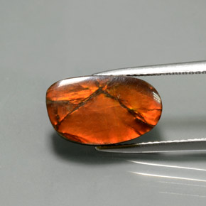 5.02 карата, натуральный Многоцветный Аммолит, Необычная форма, Непрозрачный