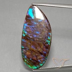 19.21ct Натуральный Многоцветный Аммолит, причудливая, Непрозрачный
