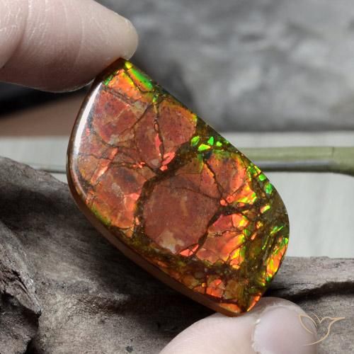 26.89ct Натуральный Многоцветный Аммолит, причудливая, Непрозрачный