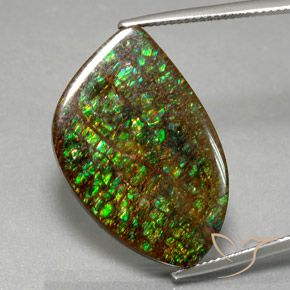 21.29ct Натуральный Многоцветный Аммолит, причудливая, Непрозрачный